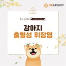 원주더봄동물의료센터 이미지