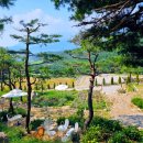 파인 관광농원 이미지