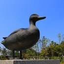 하구둑약국 이미지