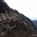 (주)코우 이미지