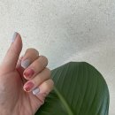 뷰티플랏