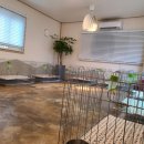 러블릿캔넬 이미지