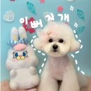 이뻐지개 이미지