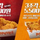 파파이스 이미지