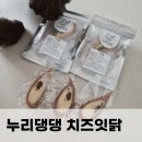 누리댕댕 이미지