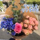 섬강화원