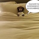 (주)도스마스