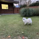 니니스테이 이미지