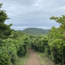 해변장여관 이미지