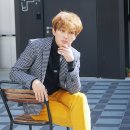 그라치아 이미지