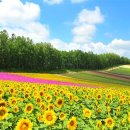 한일타운(아) 제2 이미지