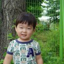 둔전체육공원 이미지