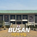 11545-05-04-14 | 부산 실내 데이트 부산박물관 거장의비밀 입장료 관람시간 도슨트 할인 예매 방법 후기