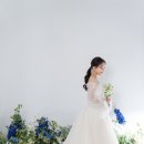 [스튜디오] 에스티무드 파란꽃밭 배경씬 후기