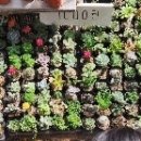 양재주차장 이미지