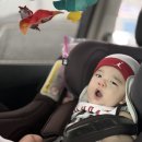 스테이 신사리 이미지