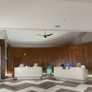 고고크라운 | [사이판] 크라운플라자 스텐다드 트윈 오션뷰 내돈내산 솔직후기