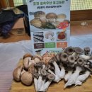 다정한농장 이미지