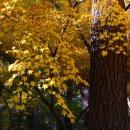 금강공원 이미지