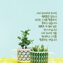 몽실다방