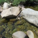 박달나무쉼터 옆 이미지