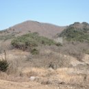 포항시남구11 이미지