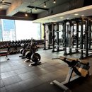 엠앤디 피트니스 이미지