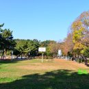 선소유적공원 이미지