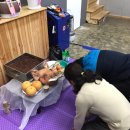 디엔모터스 이미지