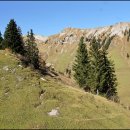 하이디알프스 이미지