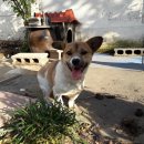 대평경로당 이미지