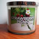 Body picnic 이미지