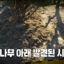 조경농장 이미지