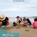 태안 이미지
