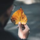 권태농장 이미지