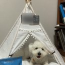 참플러스 덴탈 이미지