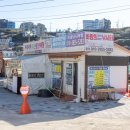 도장포어촌체험마을낚시터 이미지