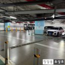 사글로벌투게더경산 | [베이징 4박 5일] 왕징 캐피탈몰 채란딤섬에서 저녁 식사 (feat. 라부부, 주디몰)