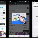 랩필드