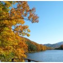 입곡군립공원 이미지