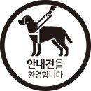 “안내견, 대한민국 어디든 환영합니다” 이미지