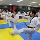 동탄MTA태권도장 이미지