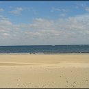 자유-희망 이미지