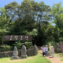 세화 동백그늘 이미지