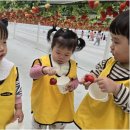 꼬마대통령어린이집 - 광주시 | 꼬마대통령어린이집