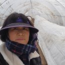 아미산농장 이미지