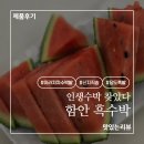 아라차차 - 김포시 구래동 | [아라차차 수박밭] 배송 걱정 없는 탄탄한 포장! 속은 빨갛고 꿀보다 달콤한 4월의 흑수박