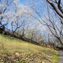 진주시립연암도서관 이미지