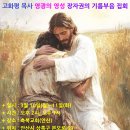 영광기름