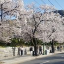 앞산 맛둘레길 경관 이미지